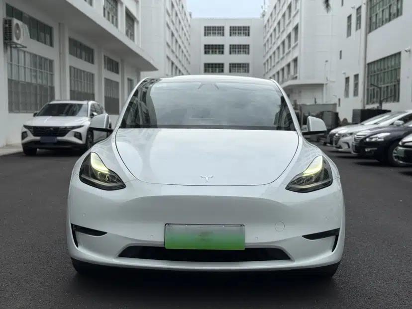 Tesla Model Y 2021 Long-Range All-Wheel-Drive Version — миниатюра 12