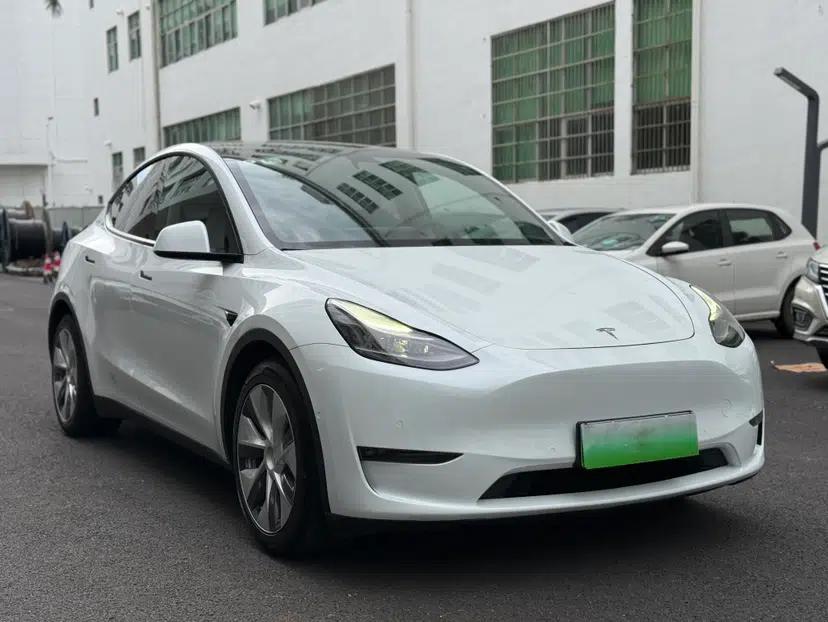 Tesla Model Y 2021 Long-Range All-Wheel-Drive Version — миниатюра 13