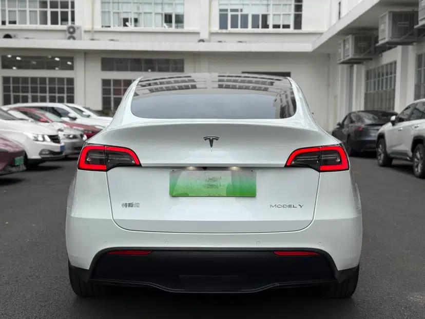 Tesla Model Y 2021 Long-Range All-Wheel-Drive Version — миниатюра 15