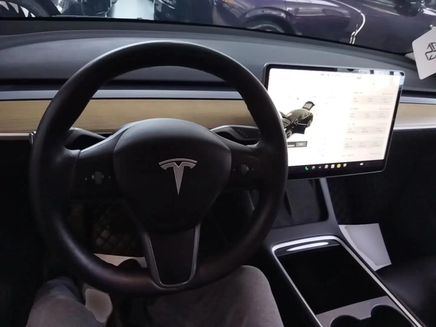 Tesla Model Y 2021 Standard Range Rear-Wheel Drive Version — миниатюра 12
