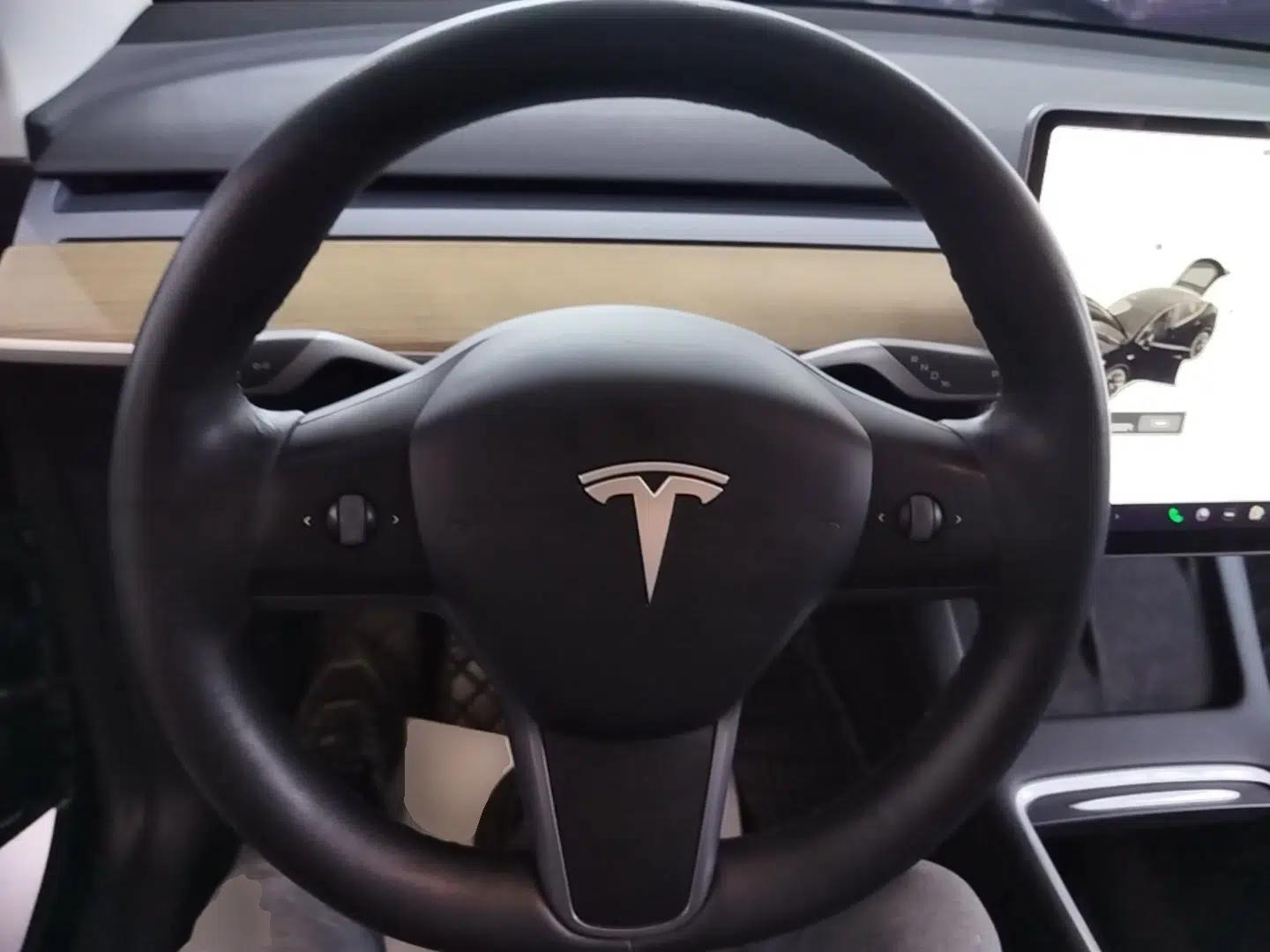 Tesla Model Y 2021 Standard Range Rear-Wheel Drive Version — миниатюра 13
