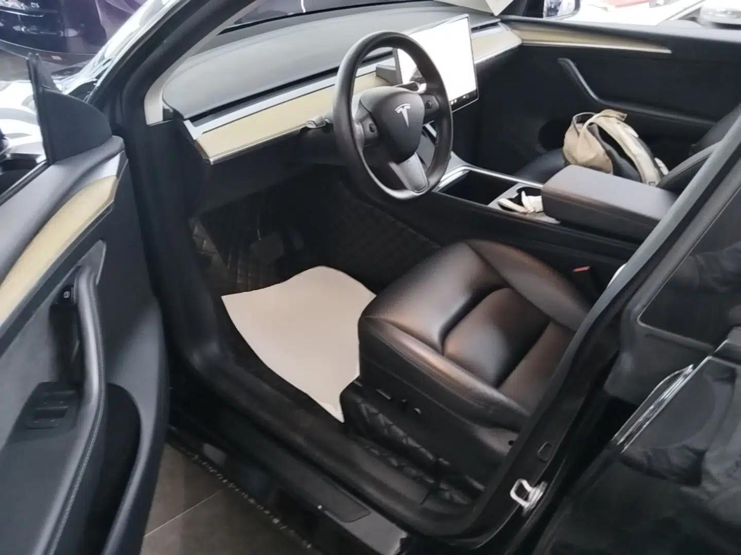 Tesla Model Y 2021 Standard Range Rear-Wheel Drive Version — миниатюра 18