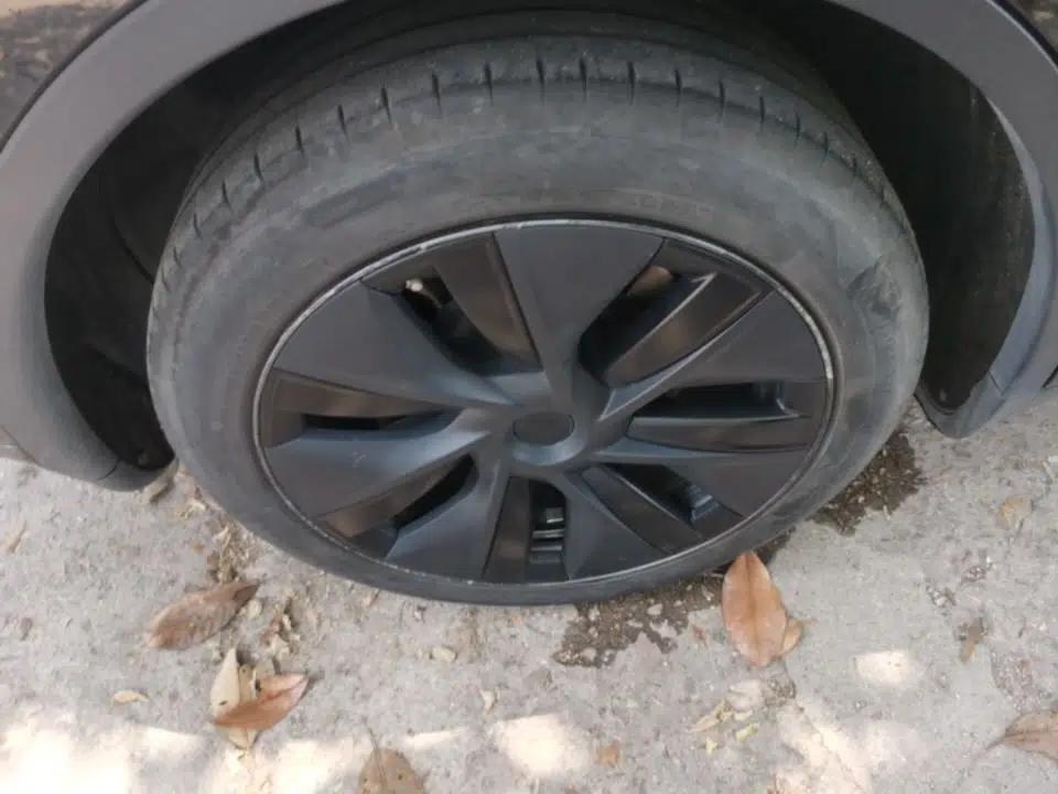 Tesla Model Y 2023 Rear-Wheel-Drive Version — миниатюра 11