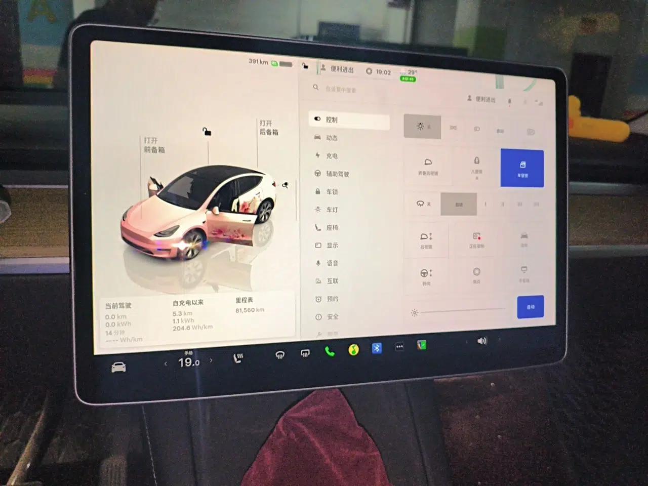 Tesla Model Y 2022 Revised Version Rear-Wheel Drive — миниатюра 11