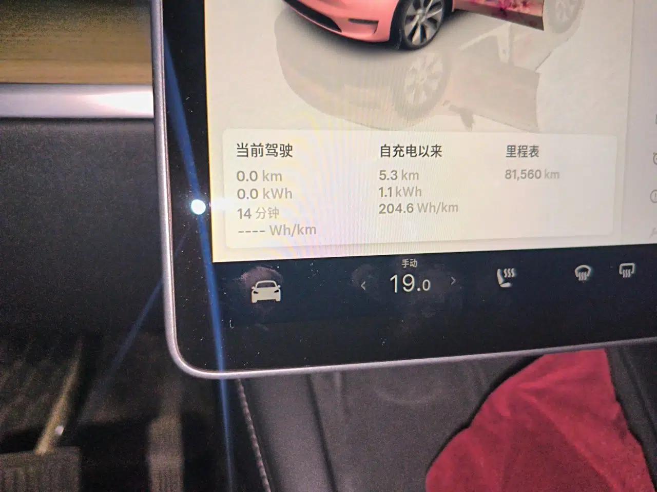 Tesla Model Y 2022 Revised Version Rear-Wheel Drive — миниатюра 12