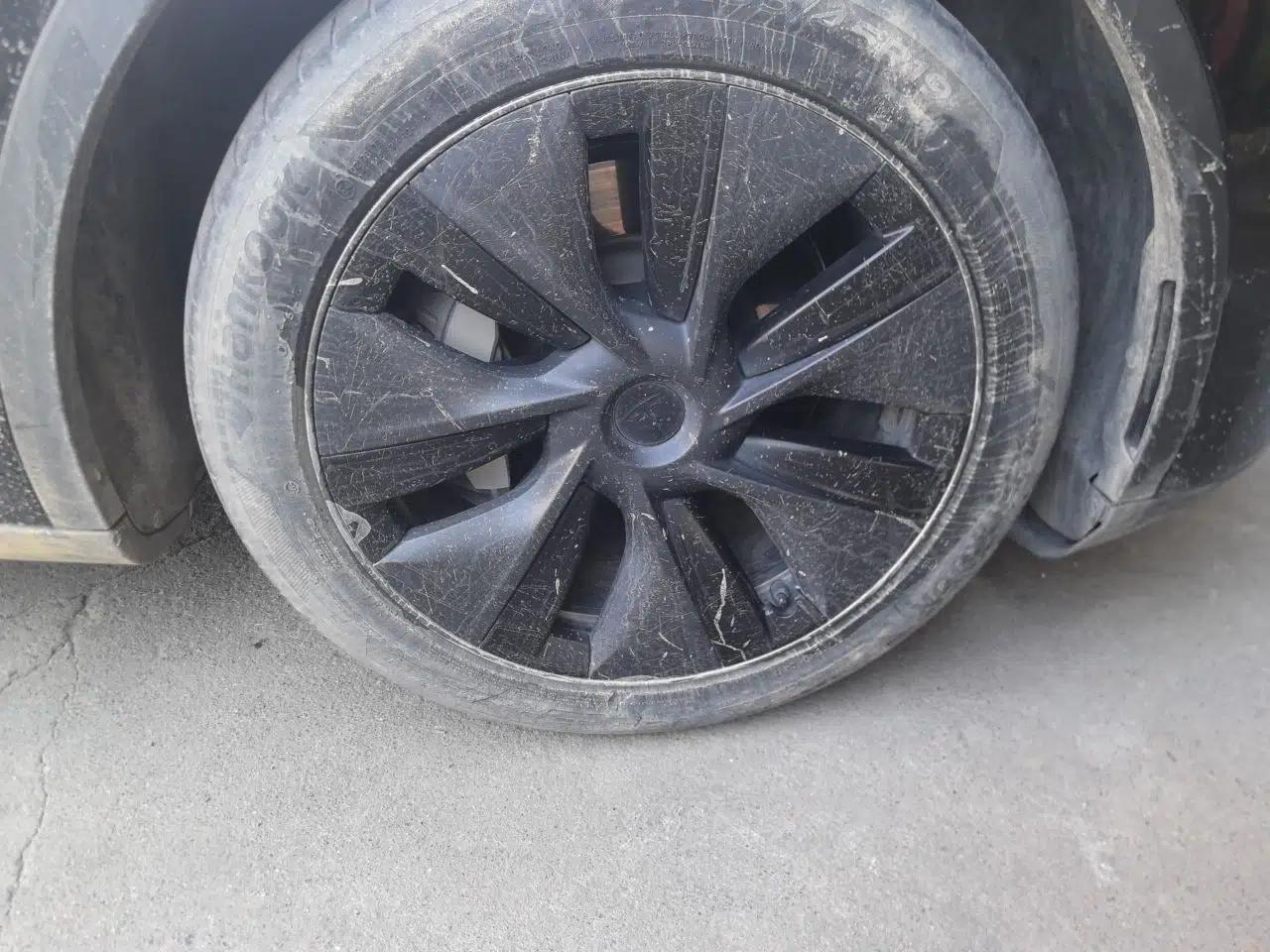 Tesla Model Y 2023 Long-Range All-Wheel-Drive Version — миниатюра 8
