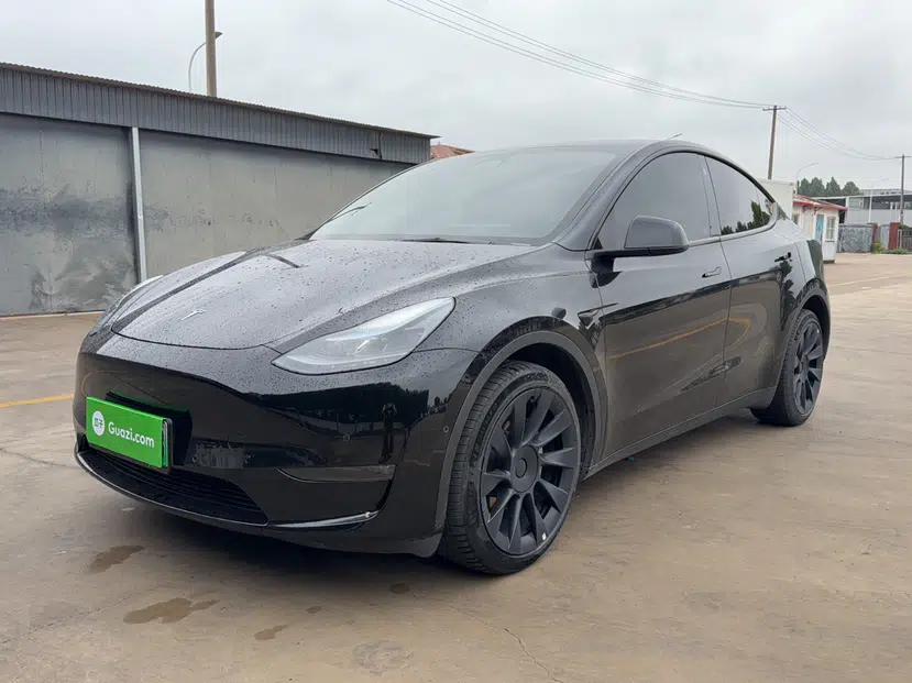 Tesla Model Y 2022 Revised Version Long-Range All-Wheel Drive — миниатюра 1