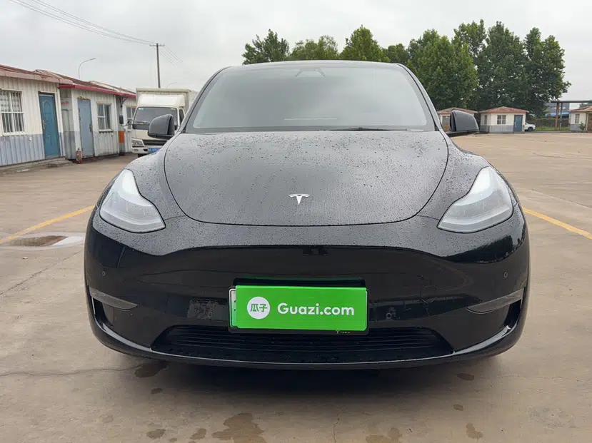 Tesla Model Y 2022 Revised Version Long-Range All-Wheel Drive — миниатюра 15