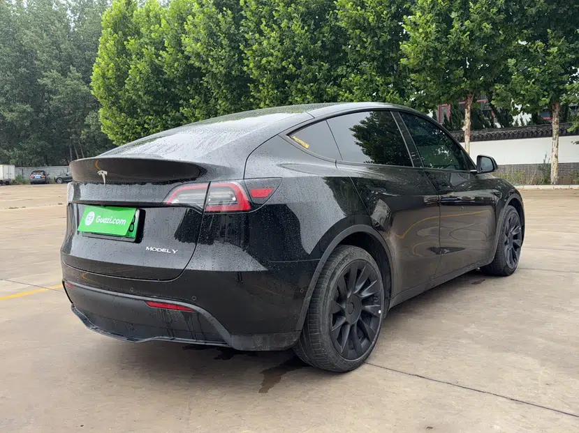 Tesla Model Y 2022 Revised Version Long-Range All-Wheel Drive — миниатюра 16
