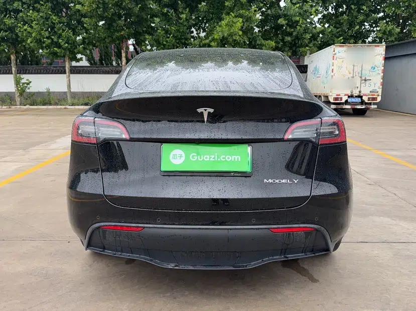 Tesla Model Y 2022 Revised Version Long-Range All-Wheel Drive — миниатюра 17