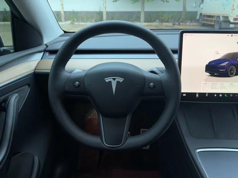 Tesla Model Y 2022 Revised Version Long-Range All-Wheel Drive — миниатюра 19