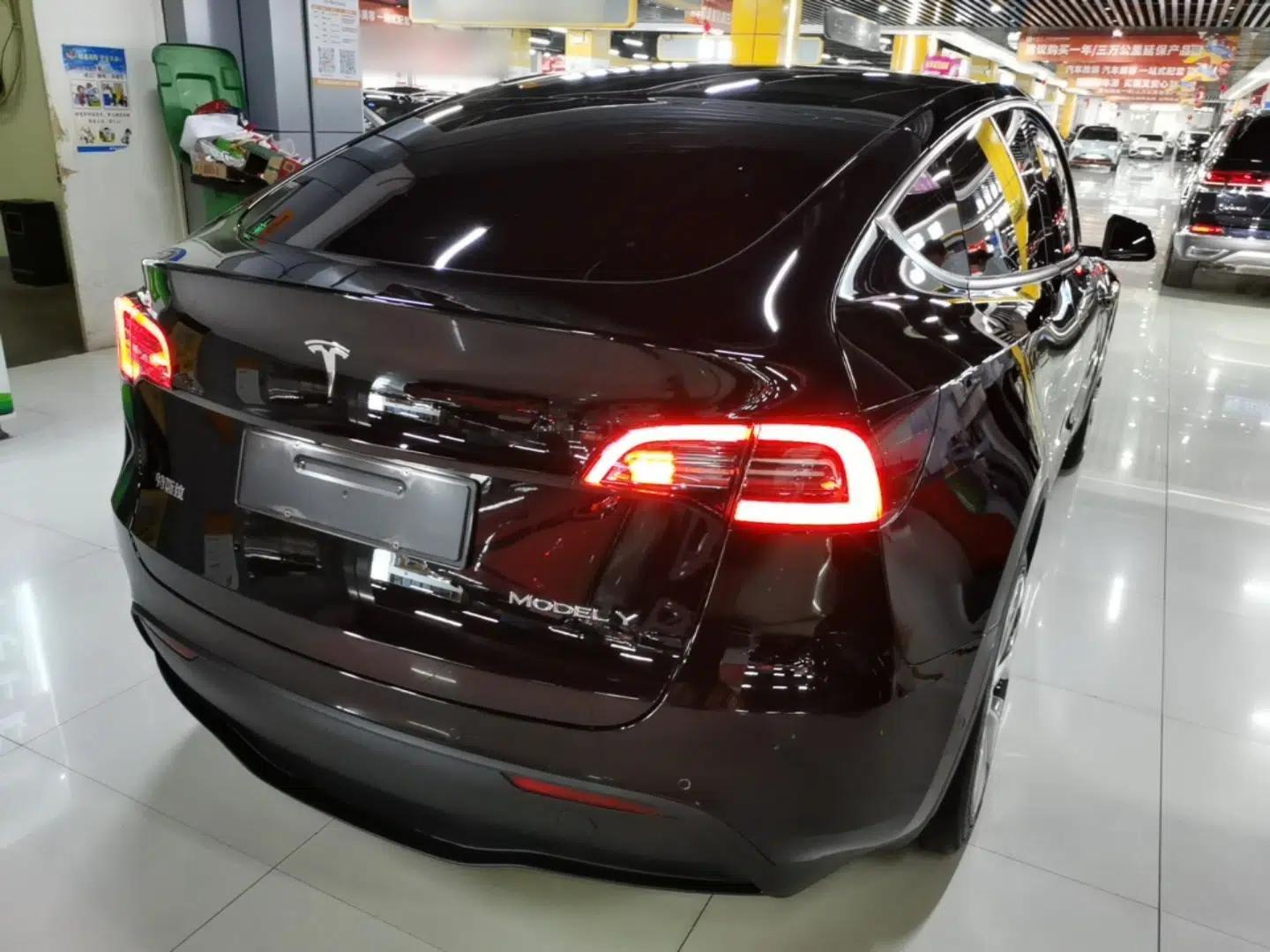 Tesla Model Y 2022 Revised Version Rear-Wheel Drive — миниатюра 6