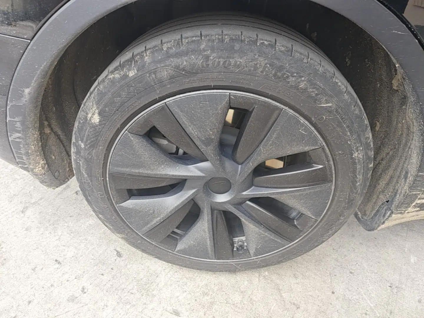 Tesla Model Y 2023 Rear-Wheel-Drive Version — миниатюра 11