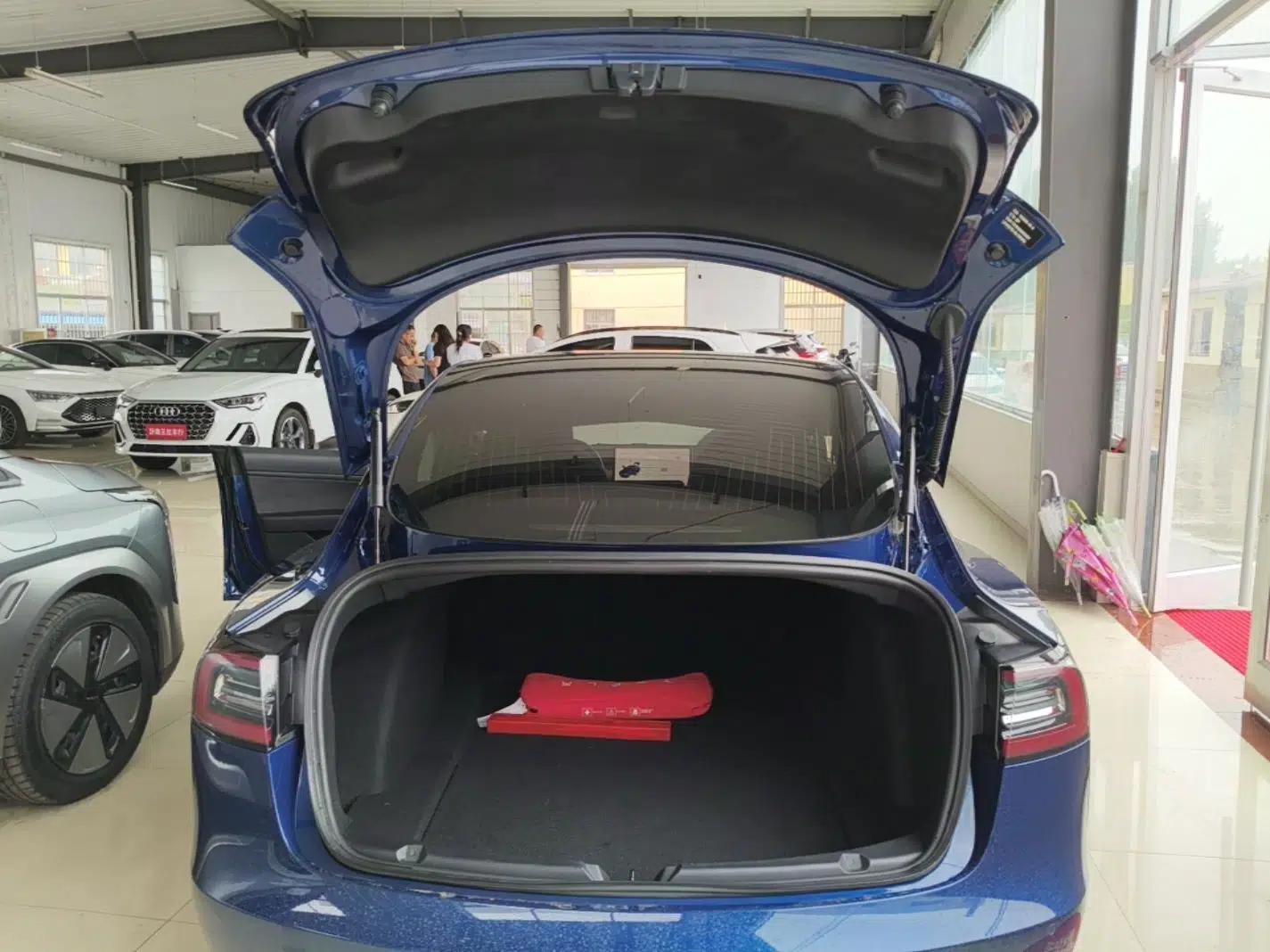 Tesla Model 3 2019 Standard Range Rear-Drive Upgraded Version — миниатюра 22