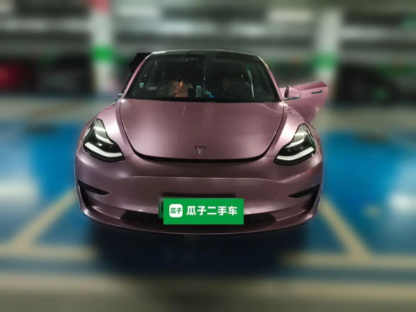 Tesla Model 3 2019 Standard Range Rear-Drive Upgraded Version — миниатюра 2
