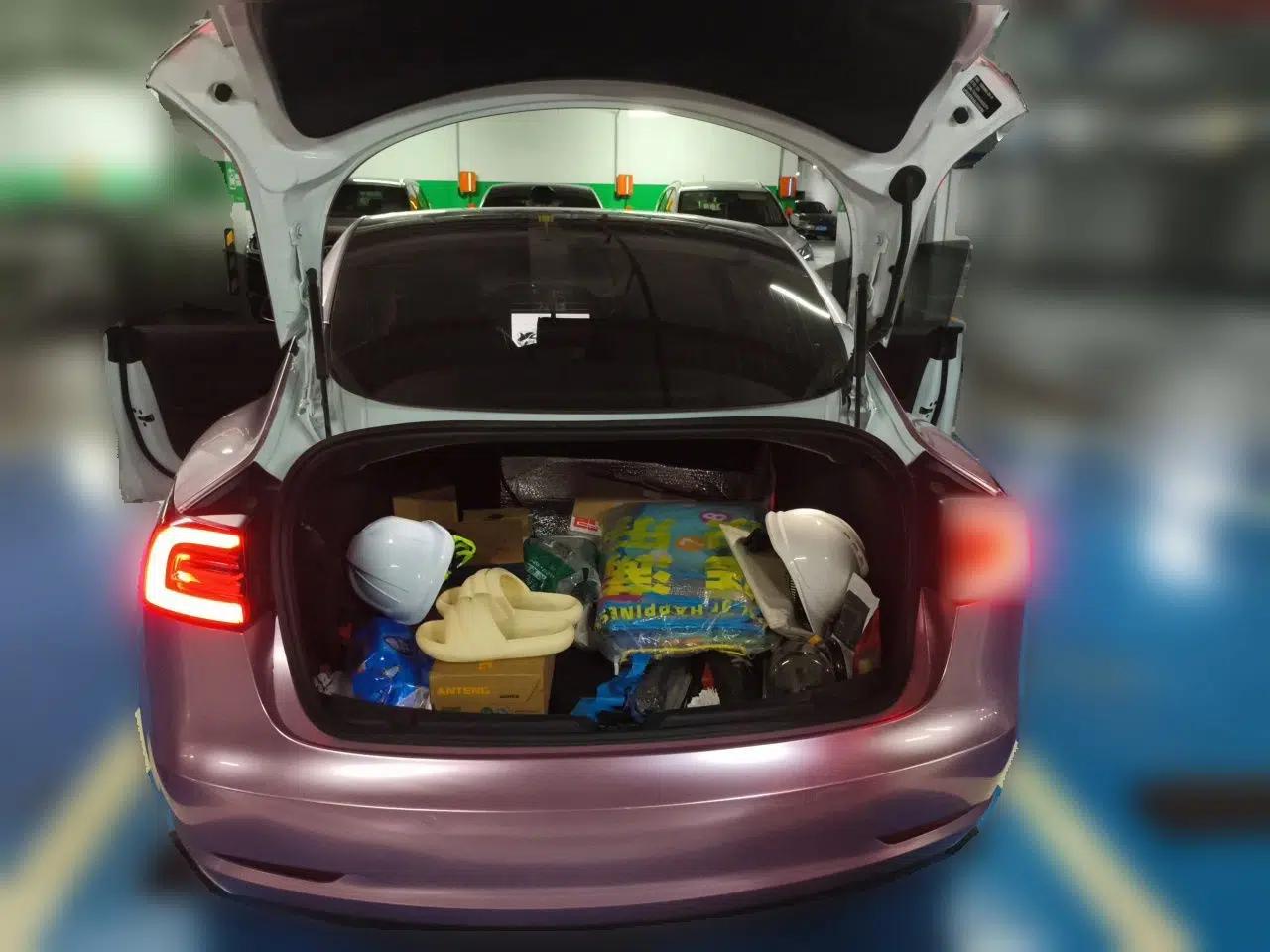 Tesla Model 3 2019 Standard Range Rear-Drive Upgraded Version — миниатюра 19