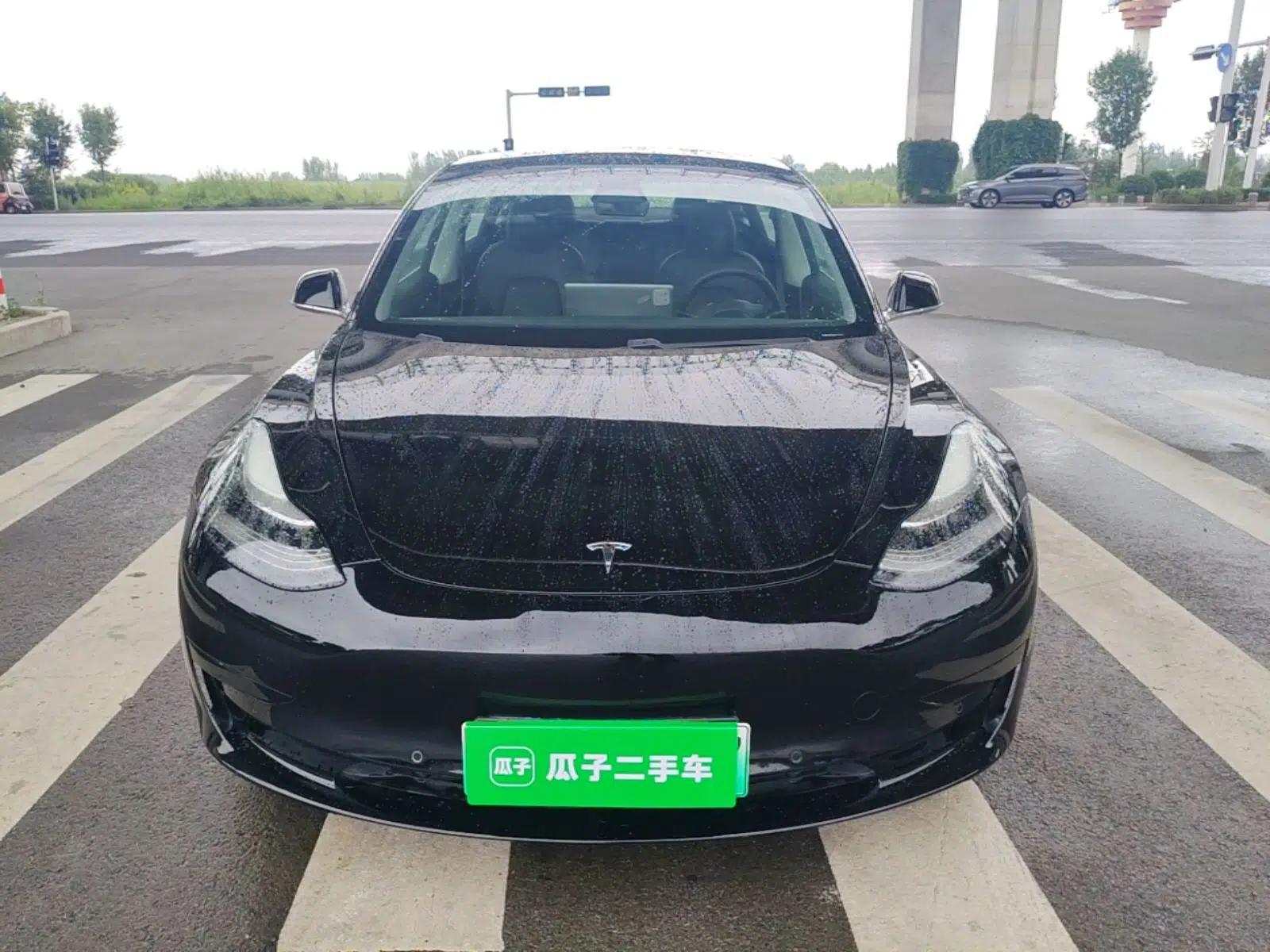 Tesla Model 3 2019 Standard Range Rear-Drive Upgraded Version — миниатюра 2