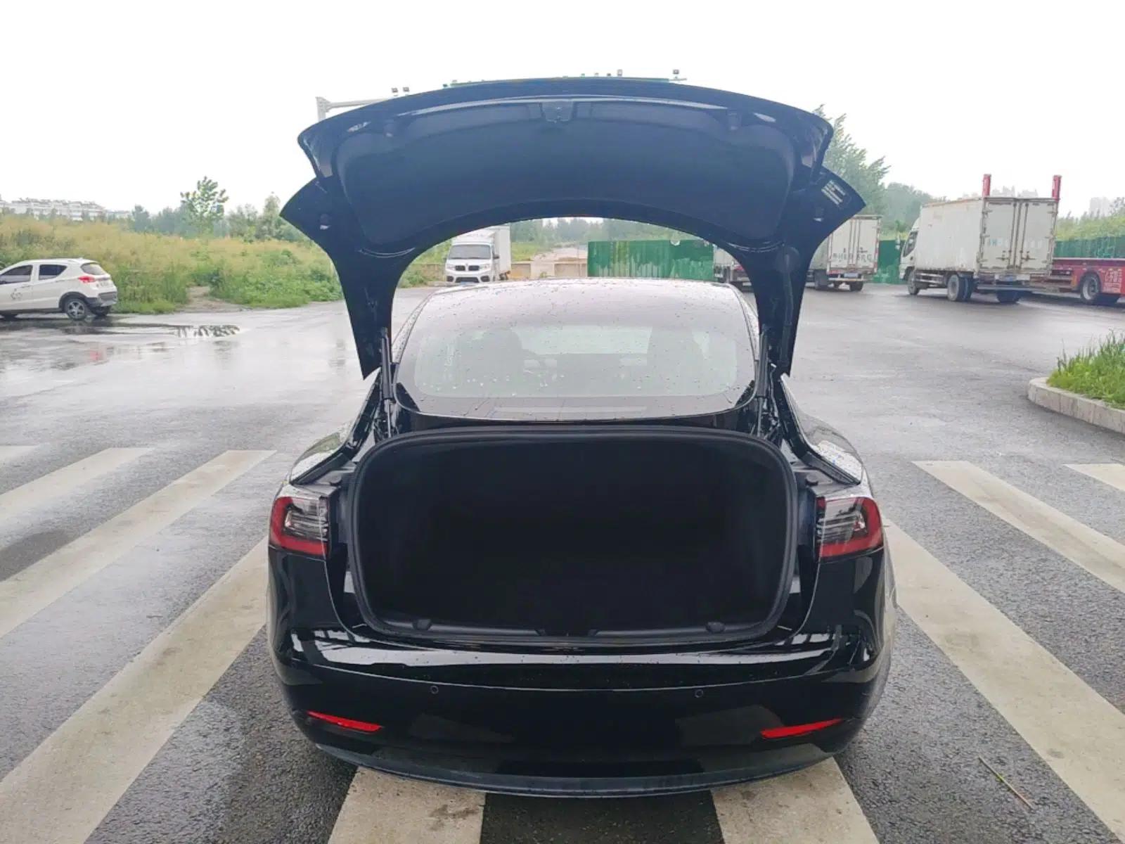 Tesla Model 3 2019 Standard Range Rear-Drive Upgraded Version — миниатюра 22