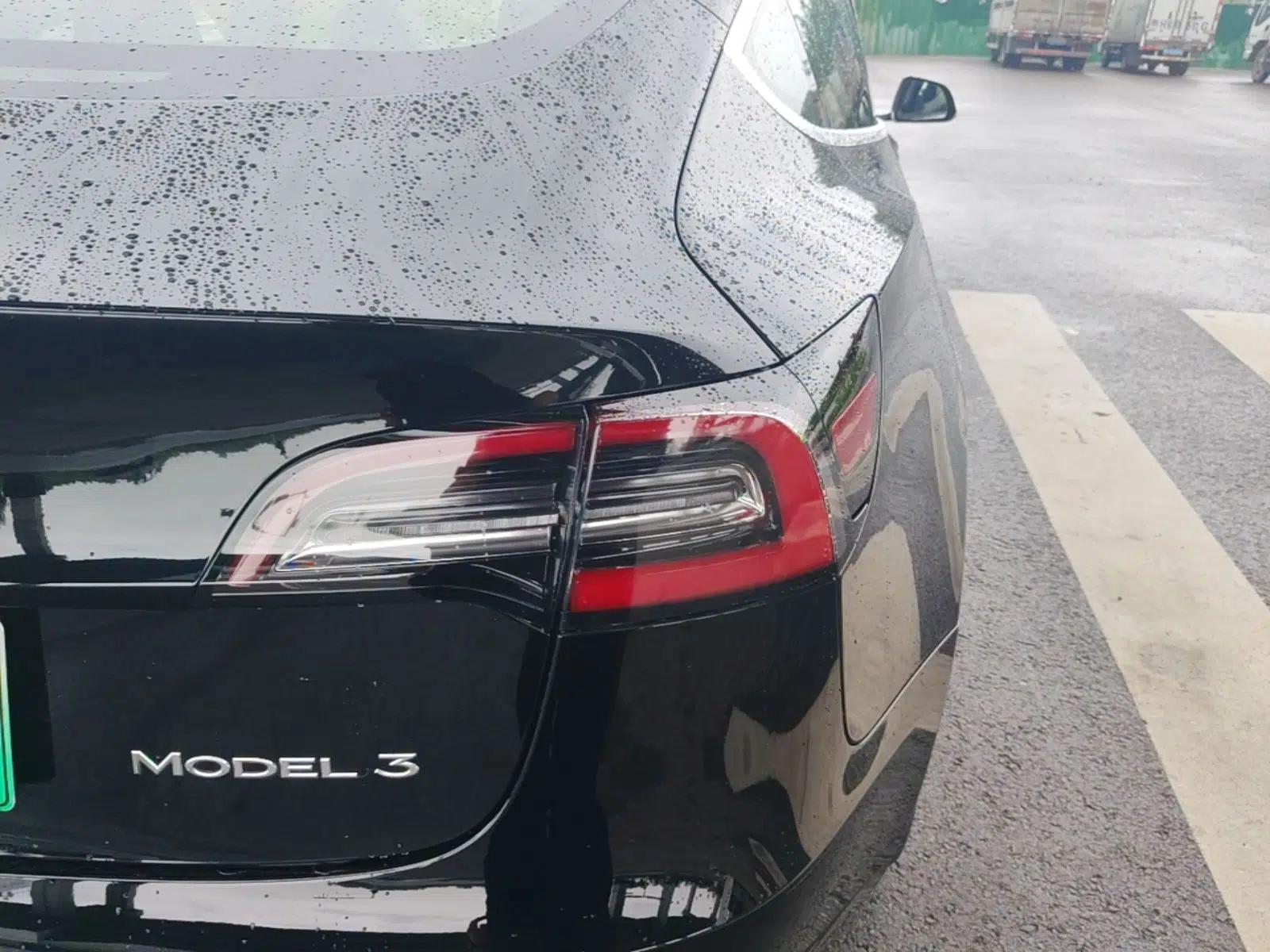 Tesla Model 3 2019 Standard Range Rear-Drive Upgraded Version — миниатюра 9