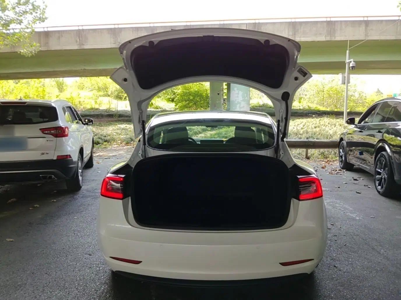 Tesla Model 3 2020 Standard Range Rear-Wheel Drive Upgraded Version — миниатюра 27