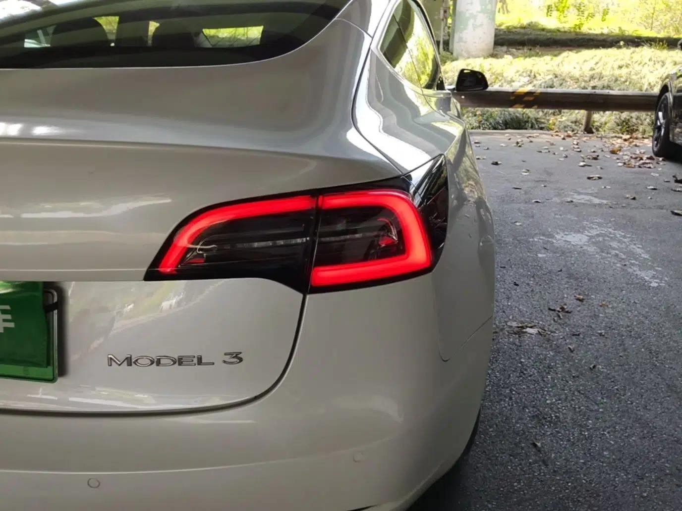 Tesla Model 3 2020 Standard Range Rear-Wheel Drive Upgraded Version — миниатюра 9
