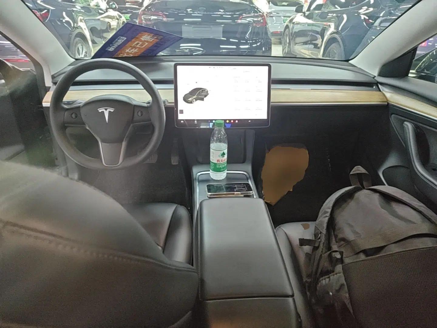 Tesla Model 3 2021 Standard Range Rear-Wheel Drive Upgraded Version 3D6 — миниатюра 12