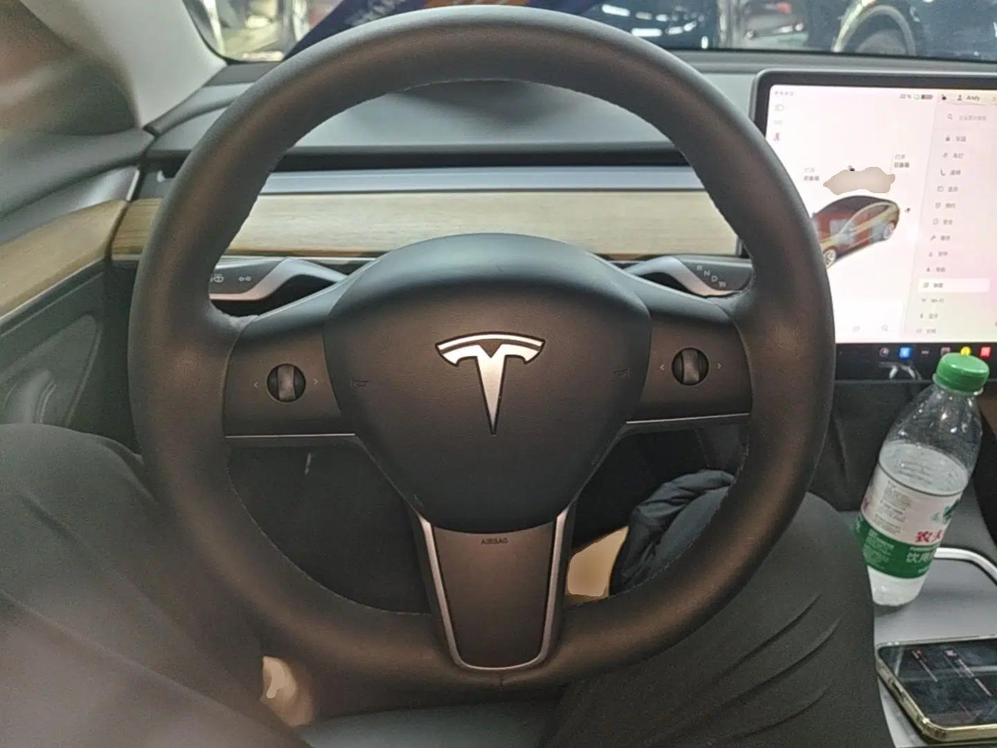 Tesla Model 3 2021 Standard Range Rear-Wheel Drive Upgraded Version 3D6 — миниатюра 13