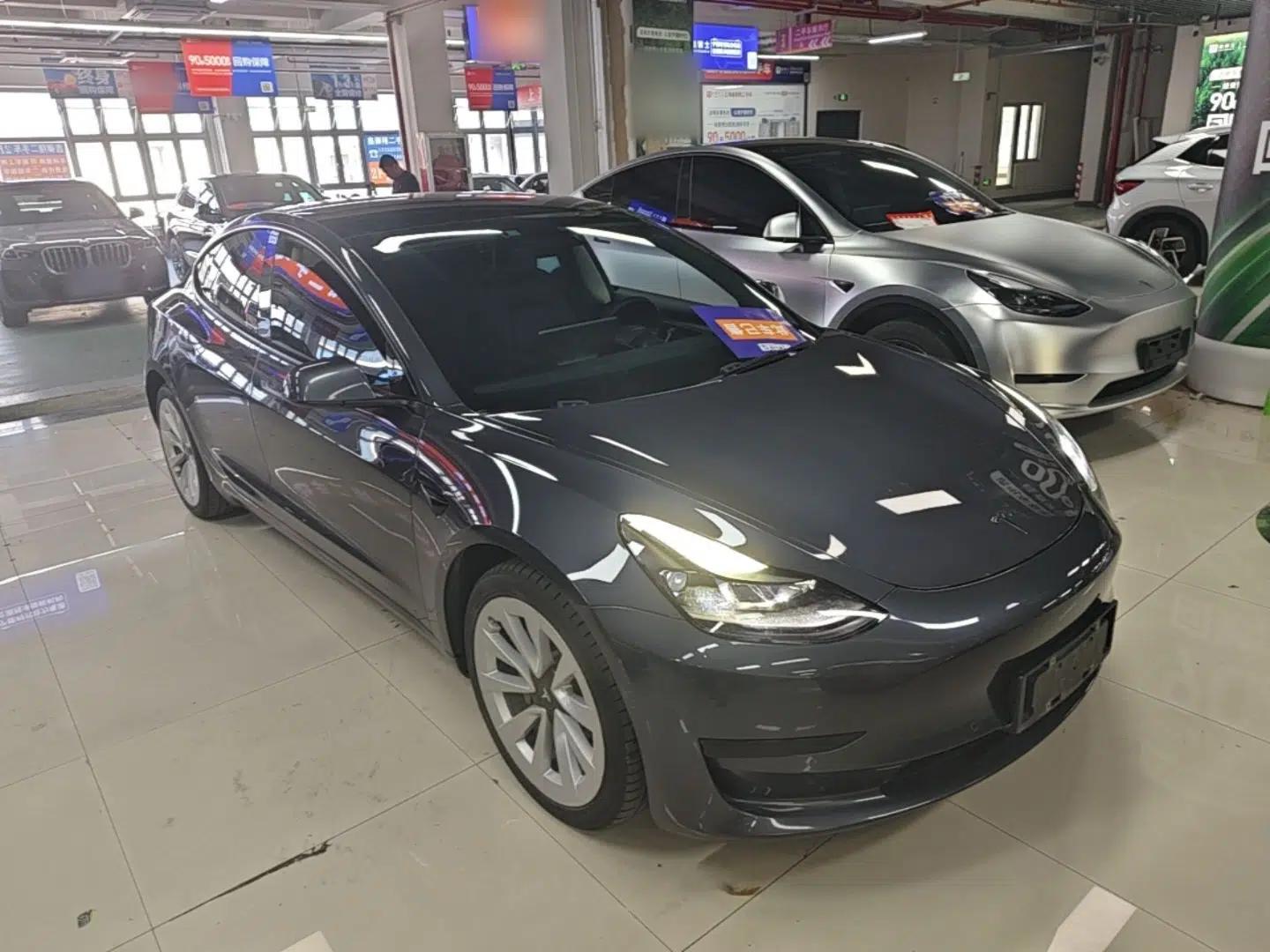 Tesla Model 3 2021 Standard Range Rear-Wheel Drive Upgraded Version 3D6 — миниатюра 3