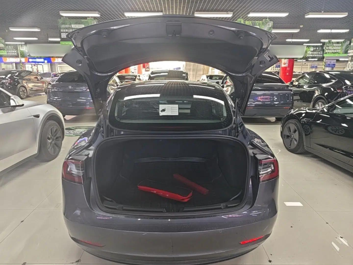 Tesla Model 3 2021 Standard Range Rear-Wheel Drive Upgraded Version 3D6 — миниатюра 22