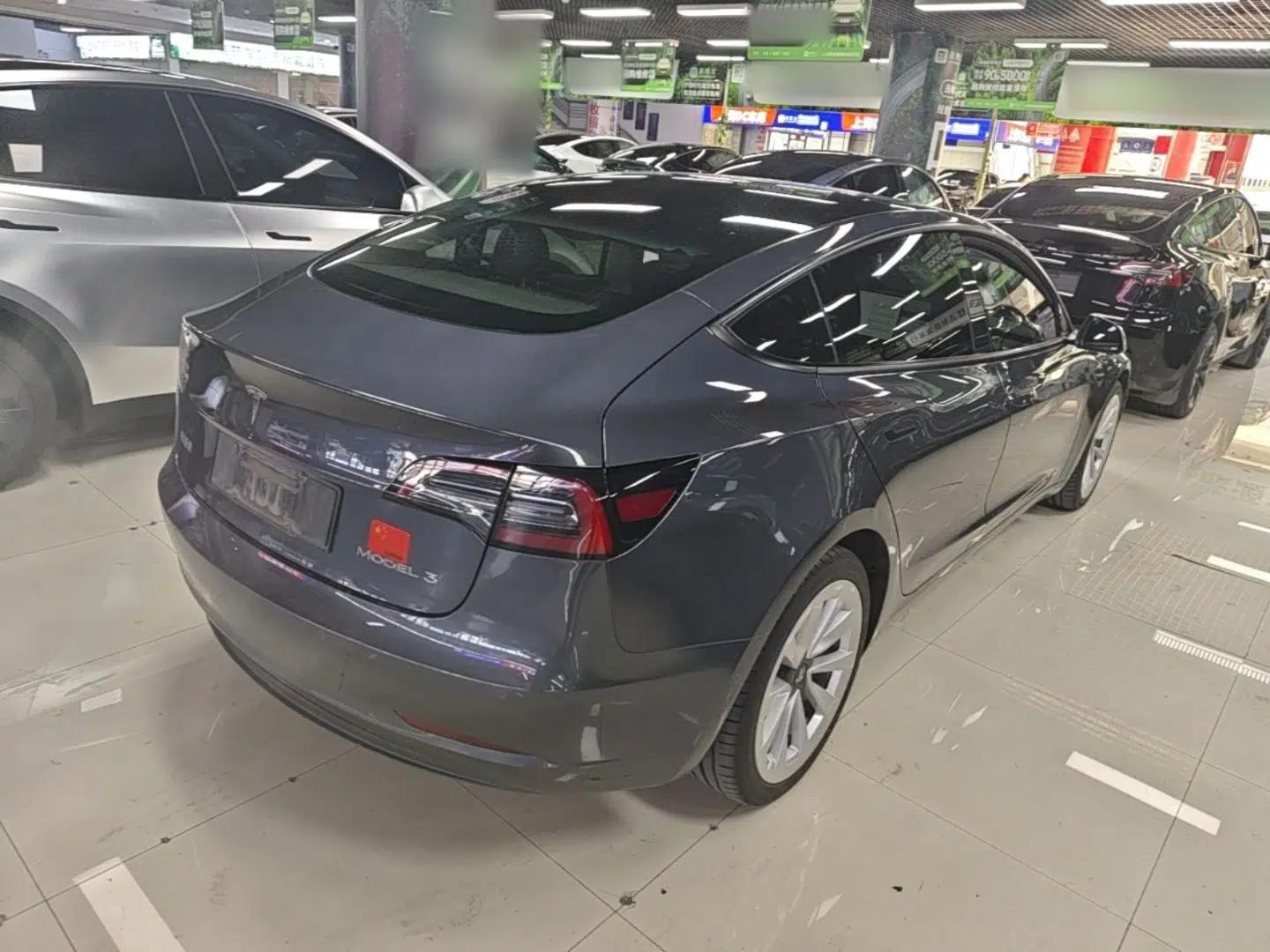 Tesla Model 3 2021 Standard Range Rear-Wheel Drive Upgraded Version 3D6 — миниатюра 6