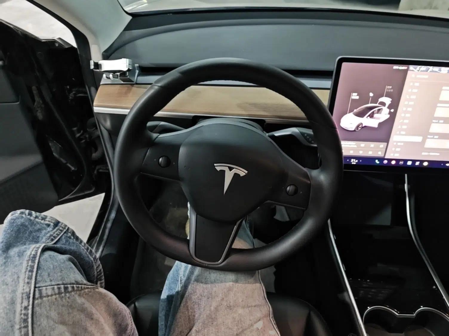 Tesla Model 3 2020 Standard Range Rear-Wheel Drive Upgraded Version — миниатюра 18