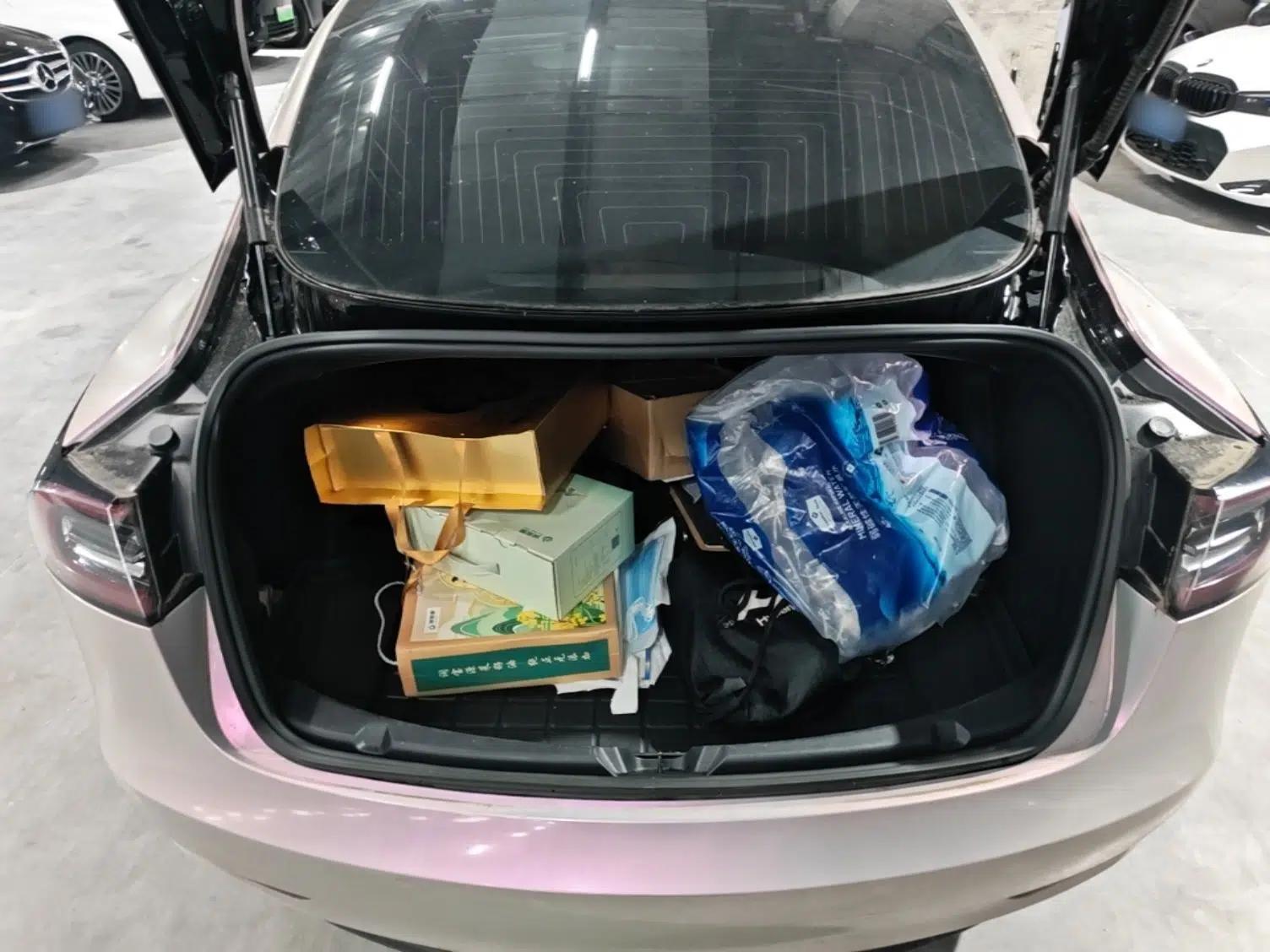 Tesla Model 3 2020 Standard Range Rear-Wheel Drive Upgraded Version — миниатюра 27