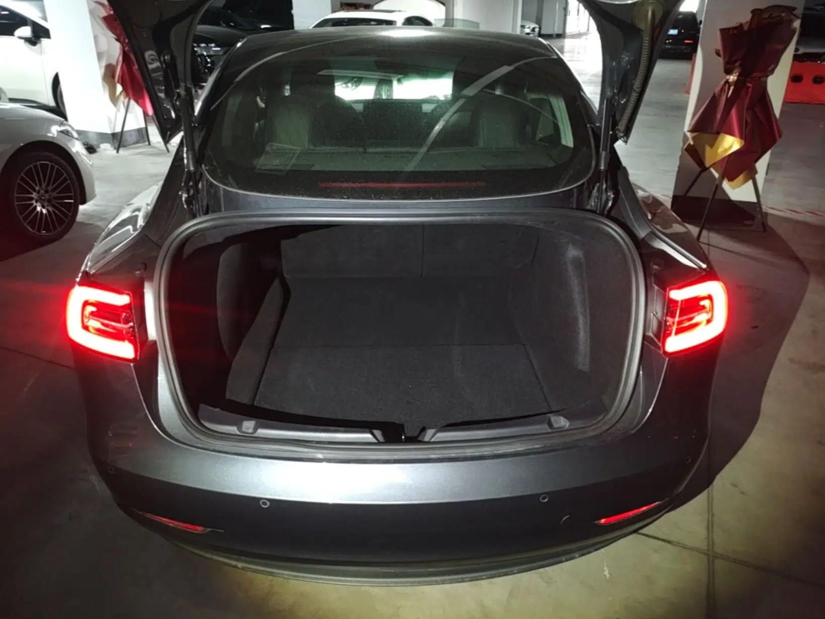 Tesla Model 3 2019 Standard Range Rear-Drive Upgraded Version — миниатюра 22