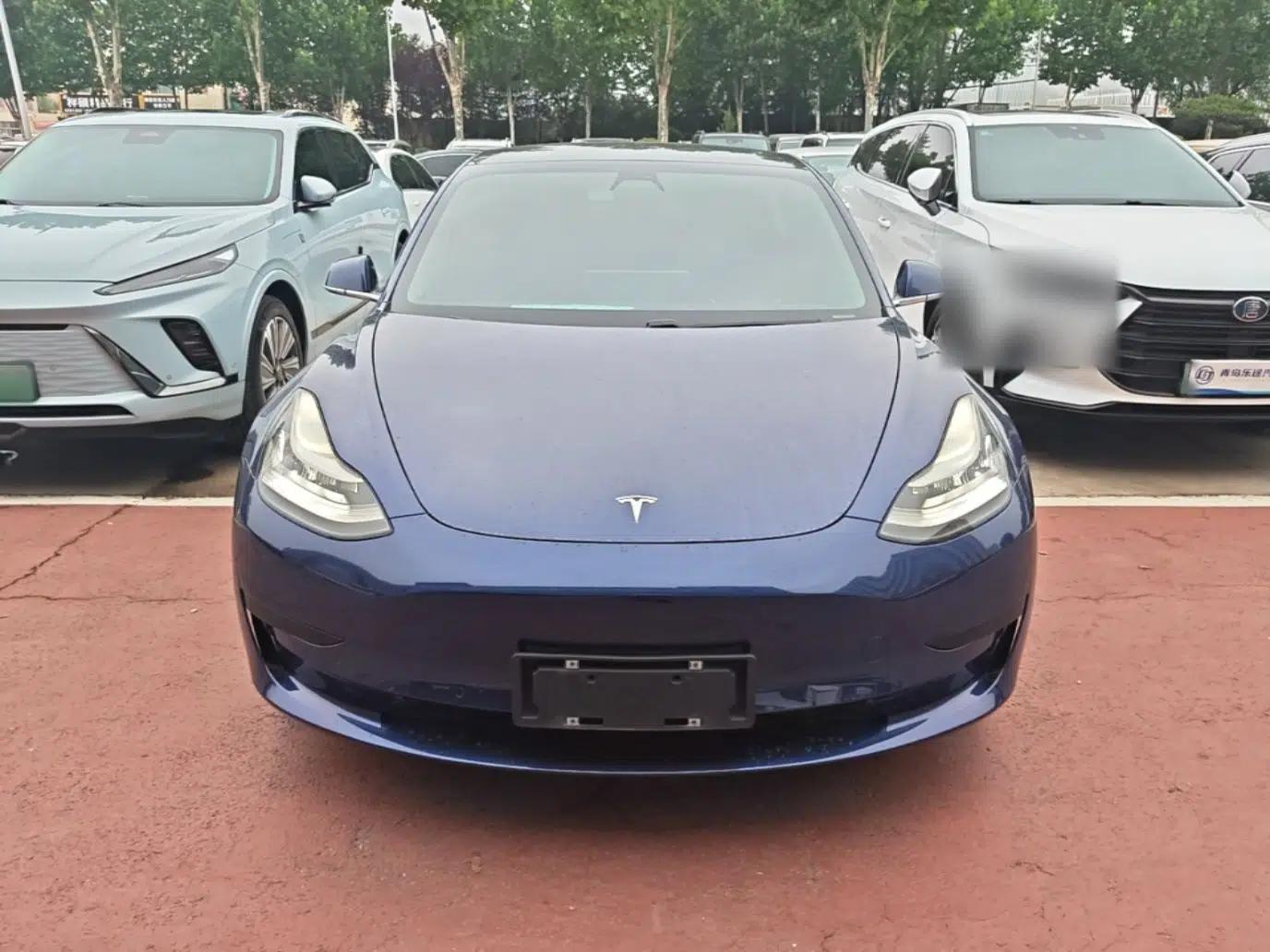 Tesla Model 3 2020 Standard Range Rear-Wheel Drive Upgraded Version — миниатюра 2