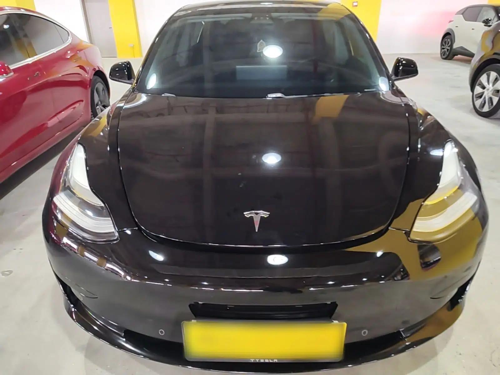 Tesla Model 3 2020 Standard Range Rear-Wheel Drive Upgraded Version — миниатюра 2