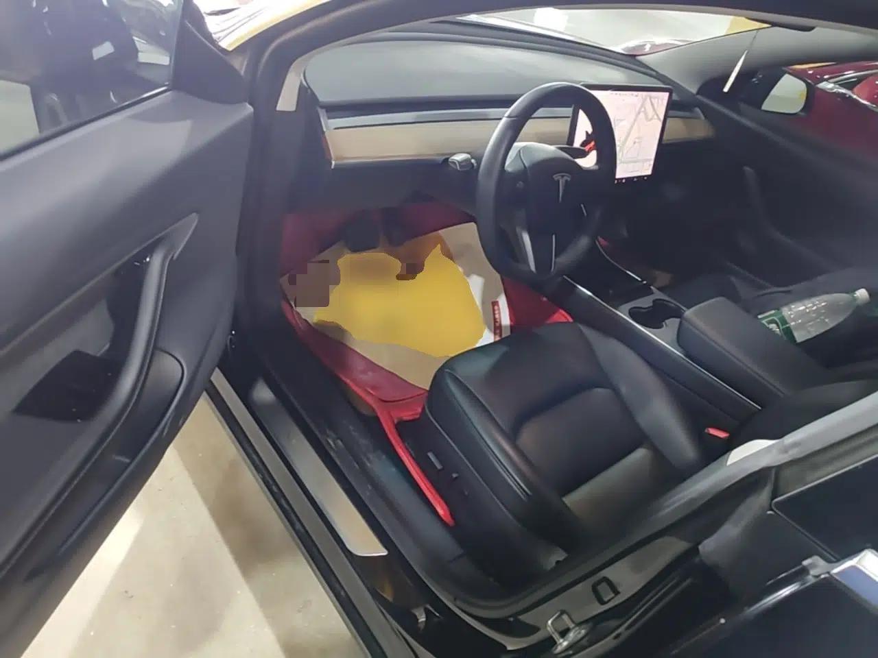 Tesla Model 3 2020 Standard Range Rear-Wheel Drive Upgraded Version — миниатюра 23