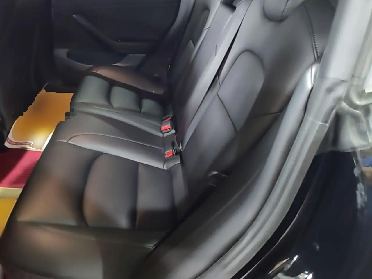 Tesla Model 3 2020 Standard Range Rear-Wheel Drive Upgraded Version — миниатюра 25