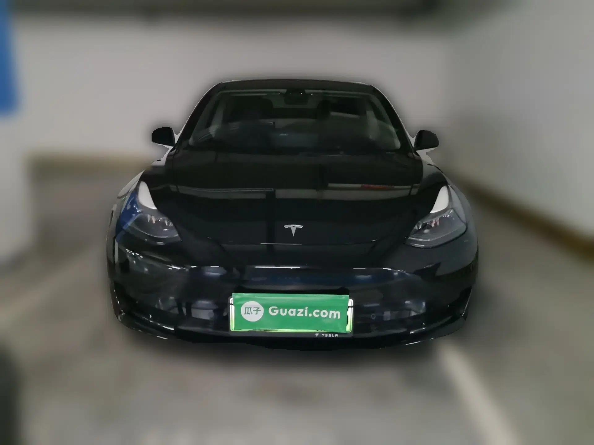 Tesla Model 3 2021 Standard Range Rear-Wheel Drive Upgraded Version 3D6 — миниатюра 2