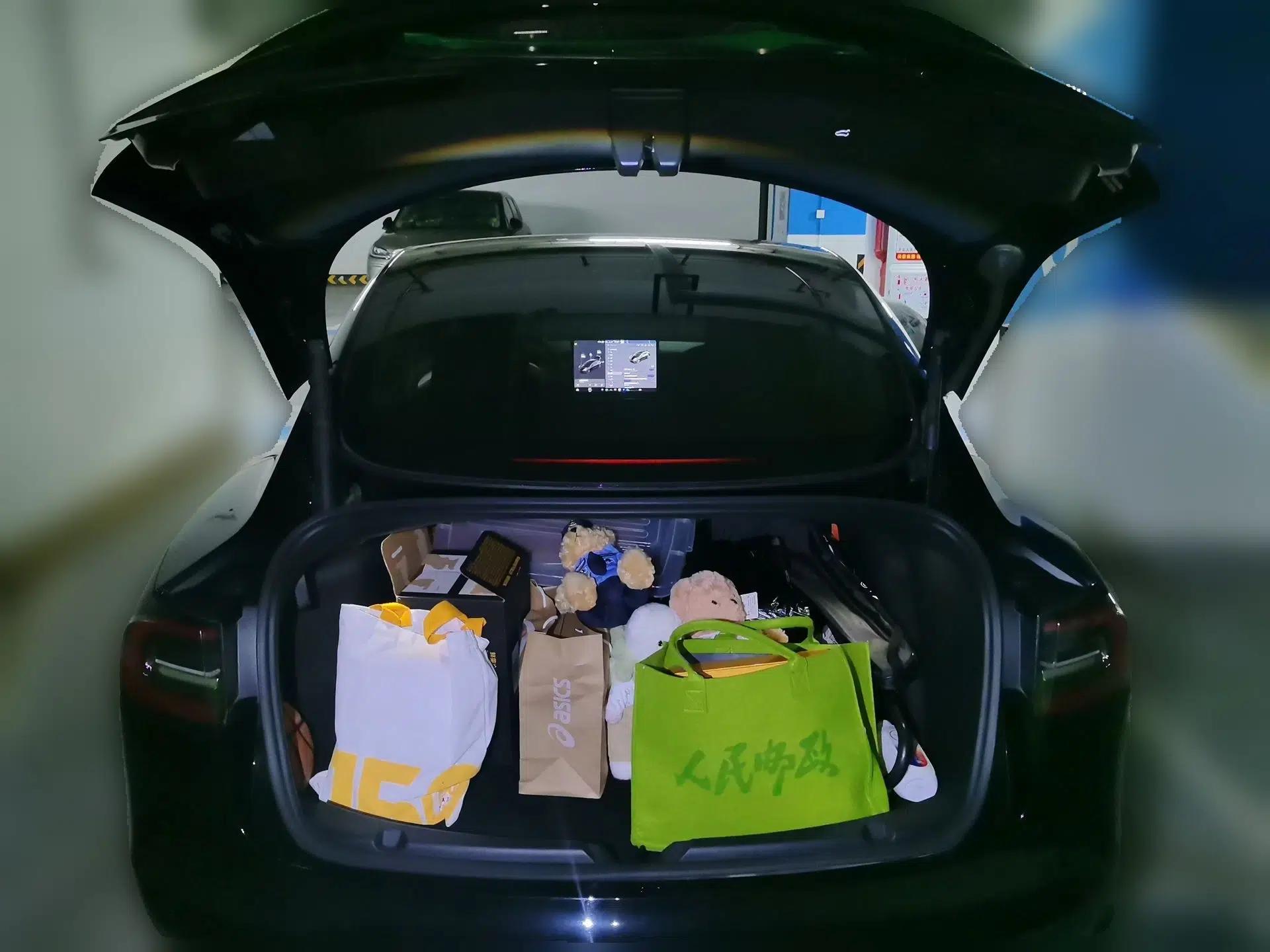 Tesla Model 3 2021 Standard Range Rear-Wheel Drive Upgraded Version 3D6 — миниатюра 19