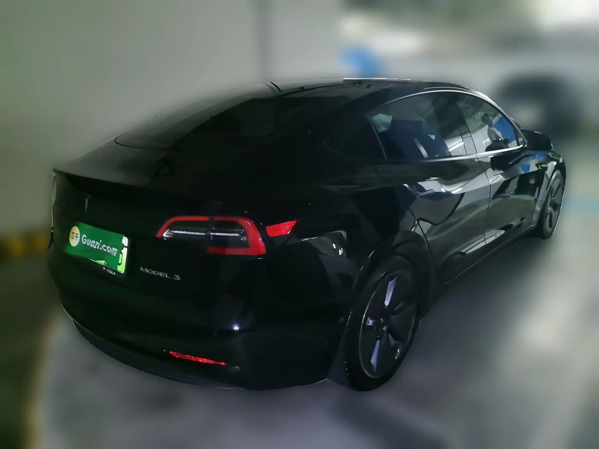 Tesla Model 3 2021 Standard Range Rear-Wheel Drive Upgraded Version 3D6 — миниатюра 6