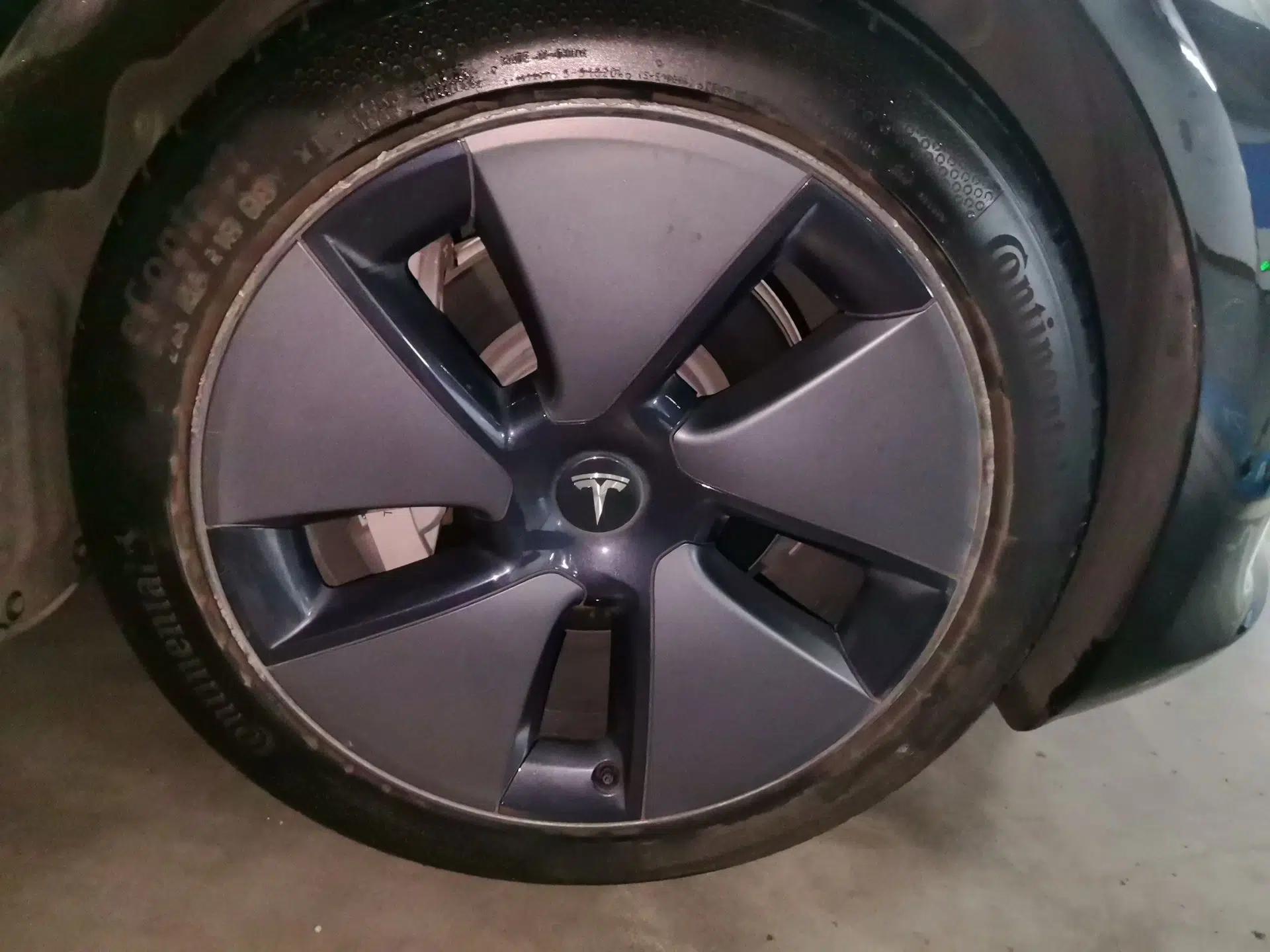 Tesla Model 3 2021 Standard Range Rear-Wheel Drive Upgraded Version 3D6 — миниатюра 8