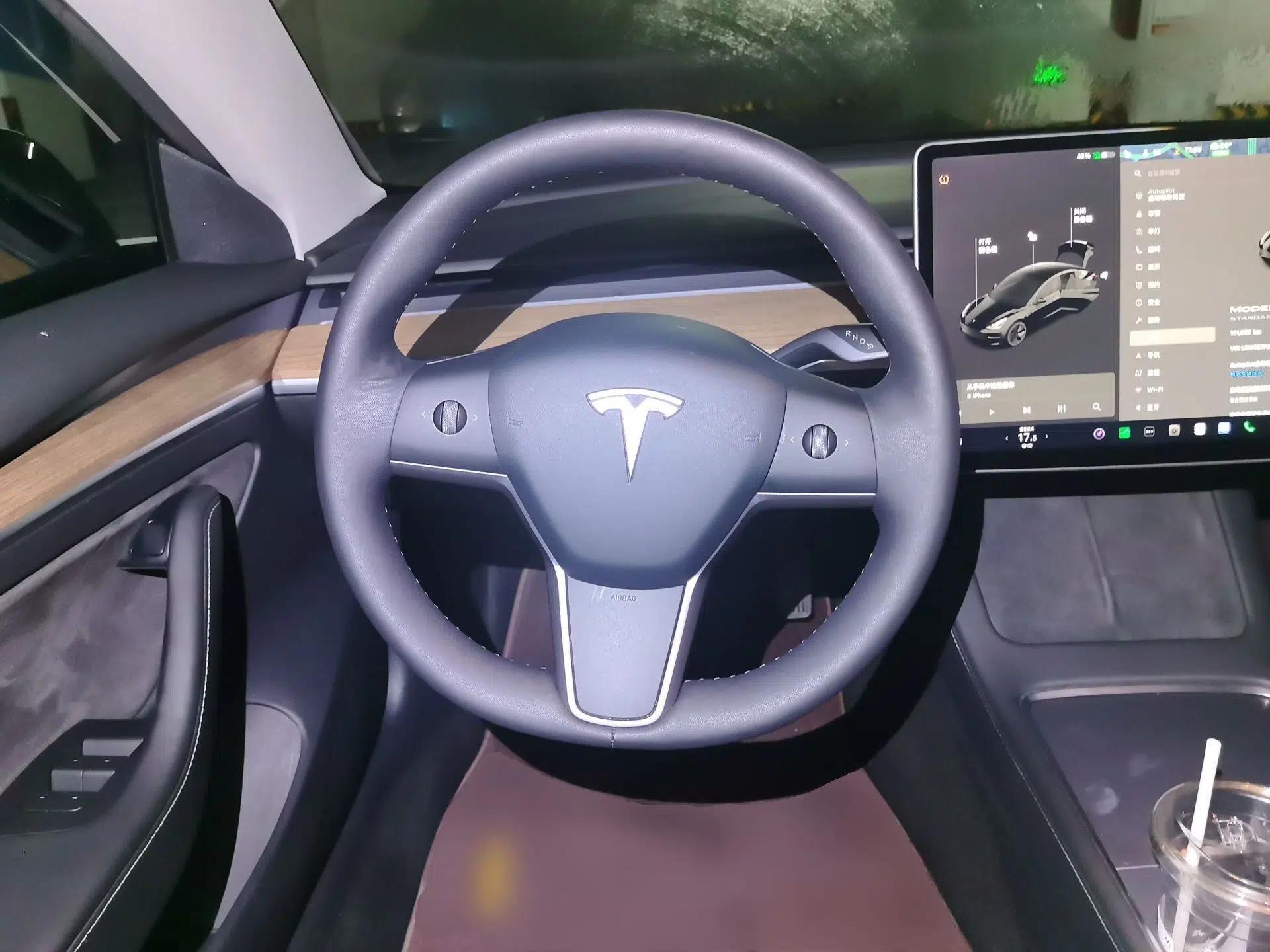 Tesla Model 3 2021 Standard Range Rear-Wheel Drive Upgraded Version 3D6 — миниатюра 10