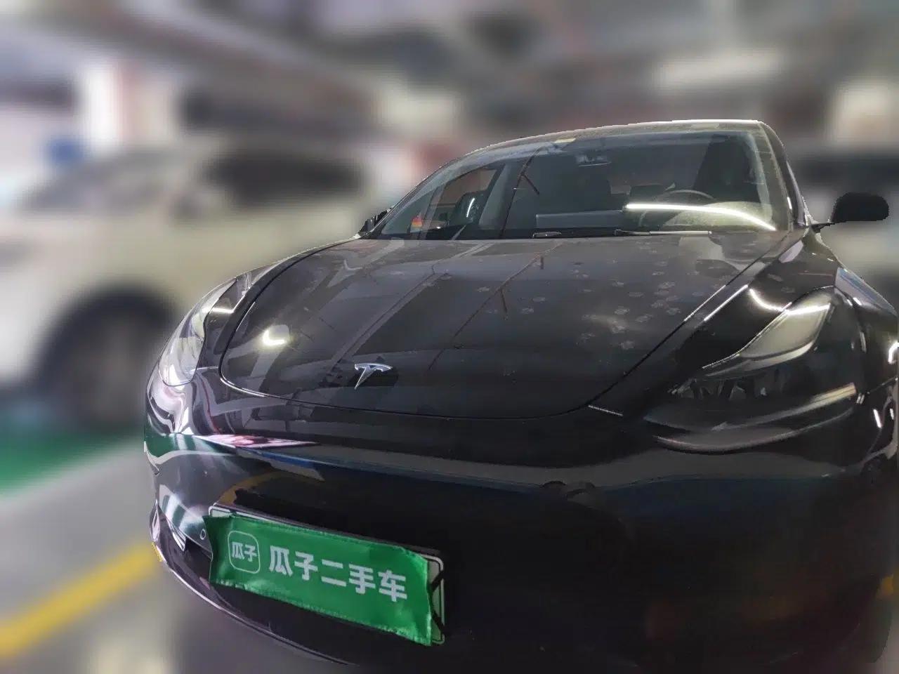 Tesla Model 3 2021 Standard Range Rear-Drive Upgraded Version — миниатюра 2