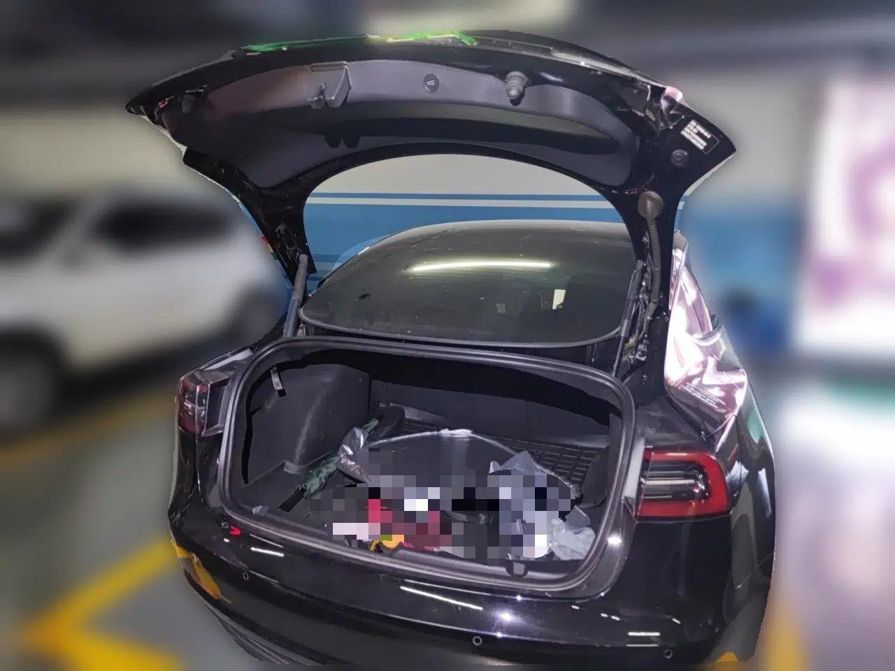 Tesla Model 3 2021 Standard Range Rear-Drive Upgraded Version — миниатюра 19