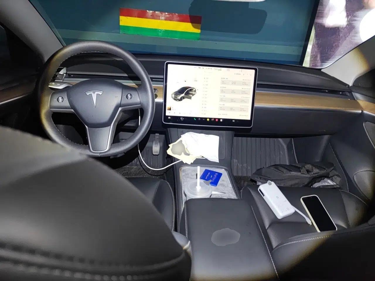 Tesla Model 3 2021 Standard Range Rear-Drive Upgraded Version — миниатюра 9