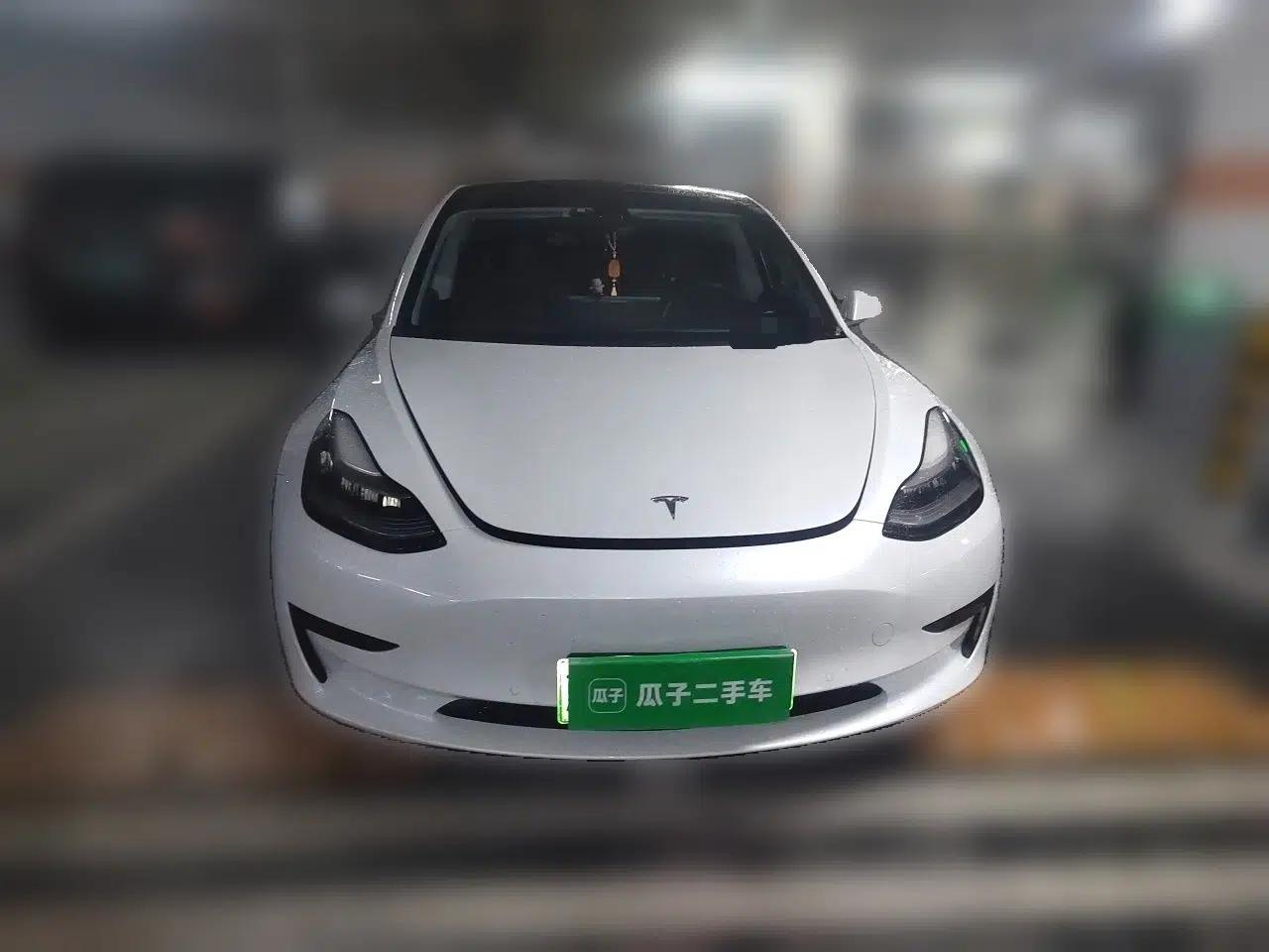 Tesla Model 3 2020 Standard Range Rear-Wheel Drive Upgraded Version — миниатюра 2