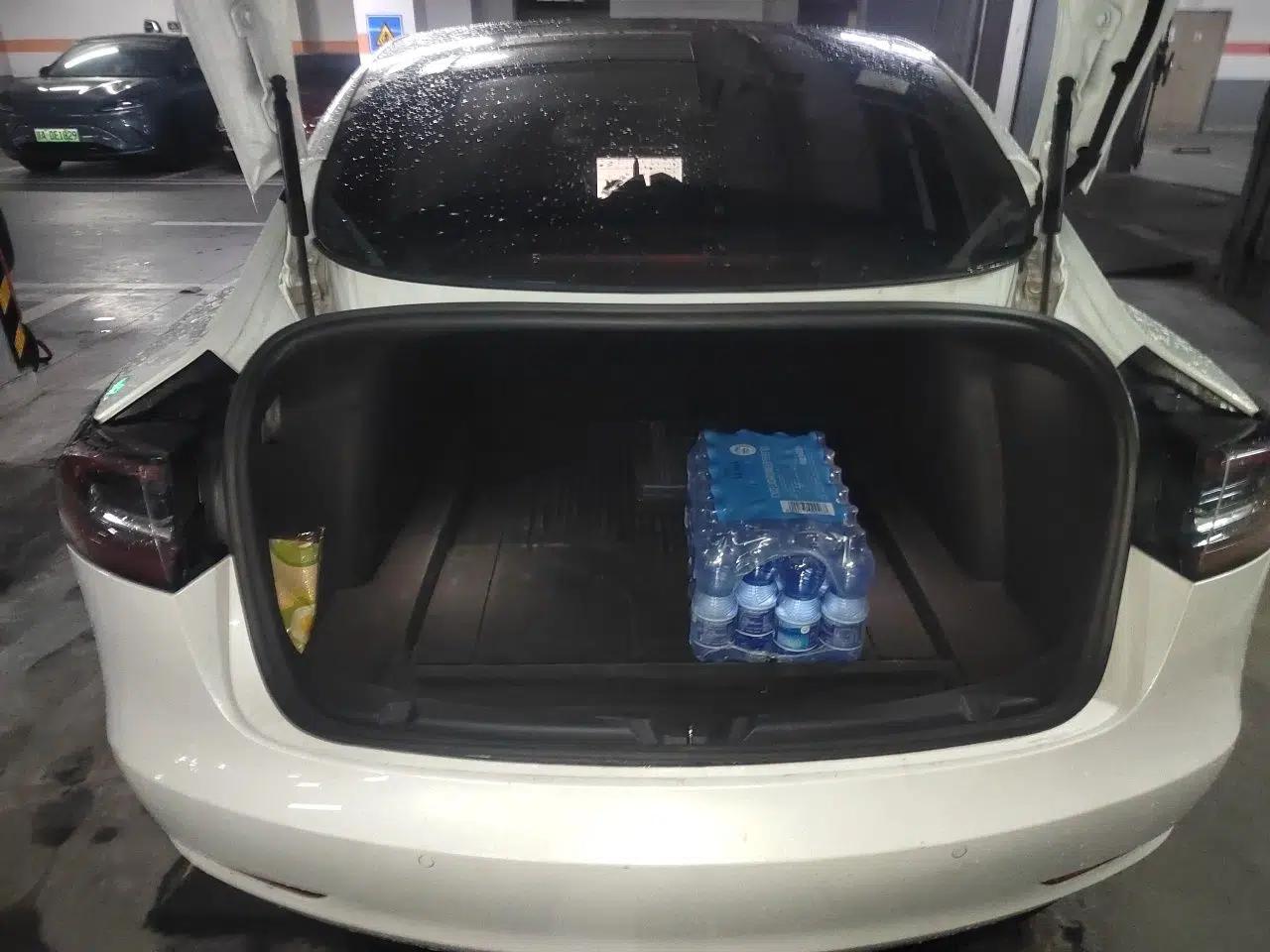 Tesla Model 3 2020 Standard Range Rear-Wheel Drive Upgraded Version — миниатюра 19