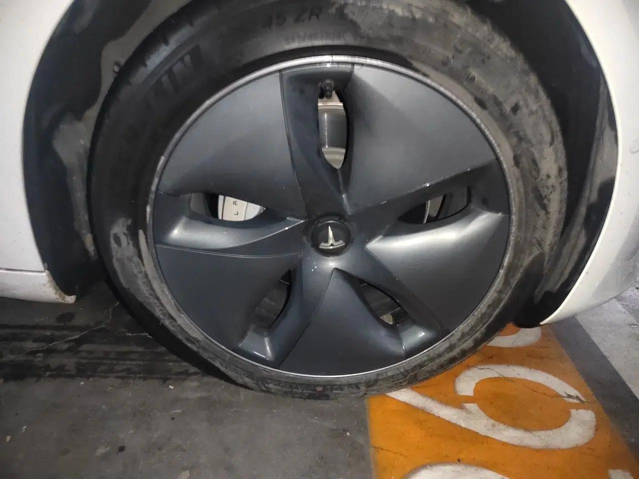 Tesla Model 3 2020 Standard Range Rear-Wheel Drive Upgraded Version — миниатюра 8