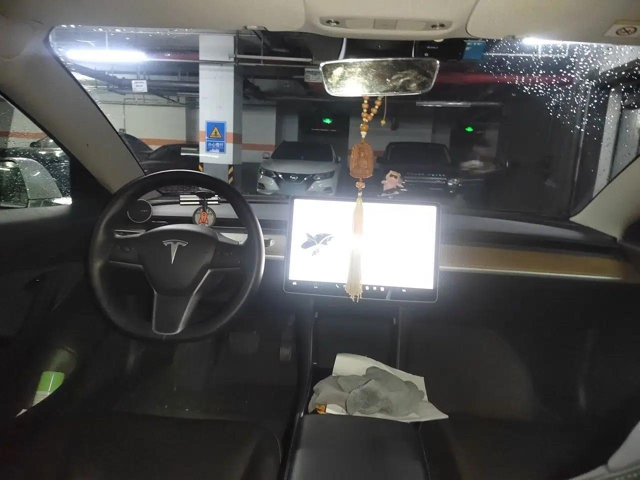 Tesla Model 3 2020 Standard Range Rear-Wheel Drive Upgraded Version — миниатюра 9