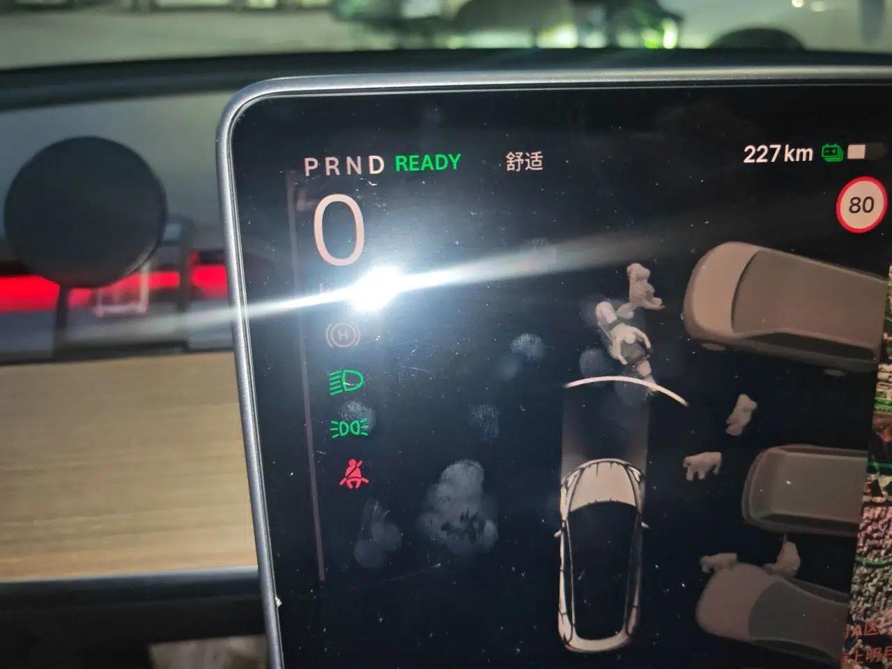 Tesla Model 3 2021 Performance High-Performance All-Wheel-Drive Version — миниатюра 11